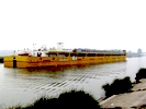River cargo ship capable of carrying containers