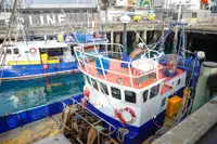 TRAWLER LONG LINER COMMERCIAL FISHING