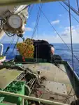 TUNA PURSE SEINER